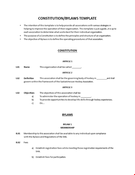 corporate bylaws and constitution for associations - directors shall follow template