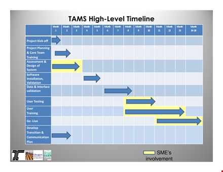 high level timeline template template