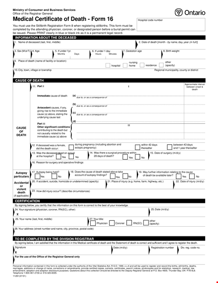 death certificate template - create official certificates with ease template