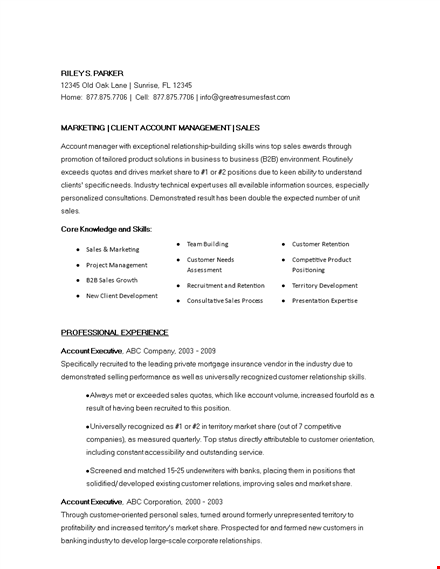 marketing account executive resume template