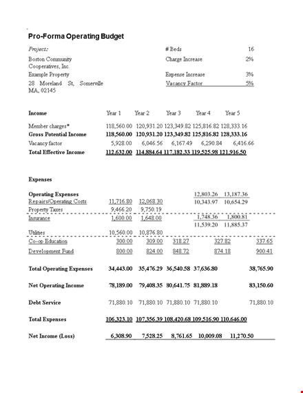 pro forma operating budget template template