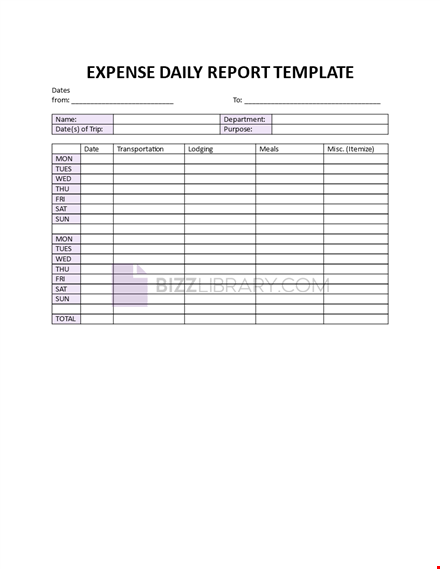 expense daily report template