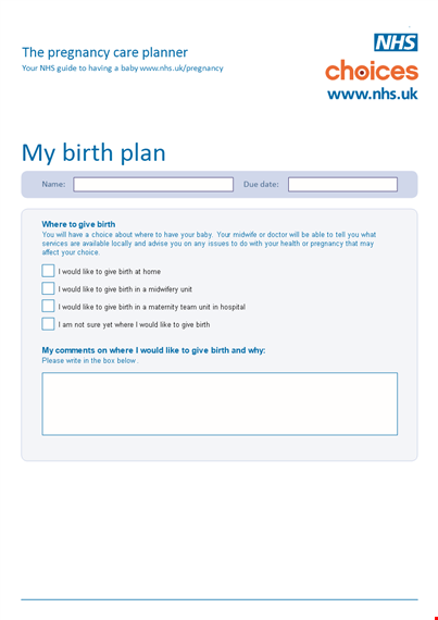 pregnancy birth plan template template