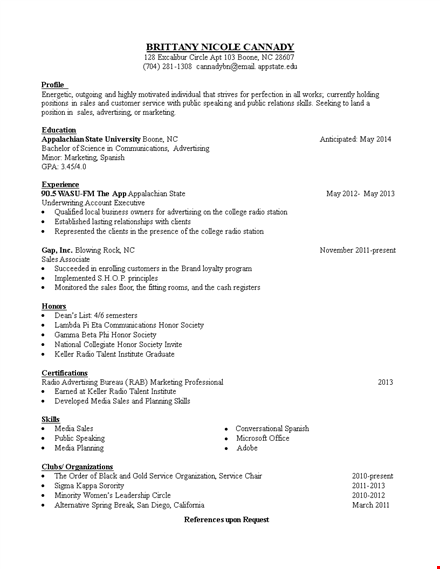 sales executive example resume template