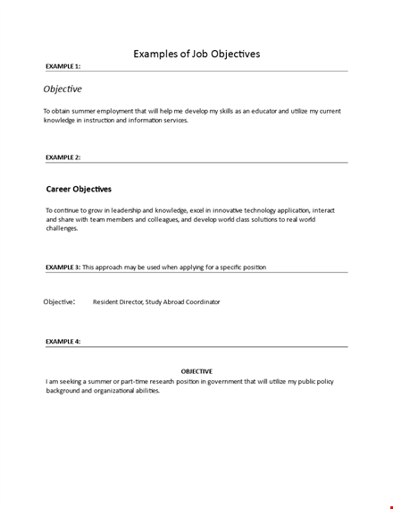 it resume objective sample - effective summer example objectives template
