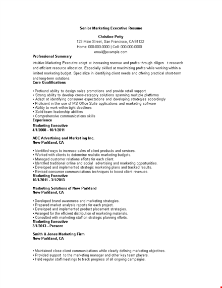 senior marketing executive resume template