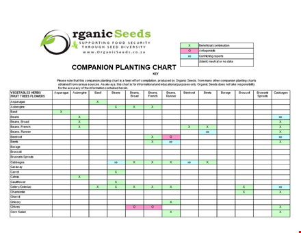 companion planting chart: boost your fruit trees with beans and lettuce template