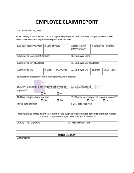 employee claim report template