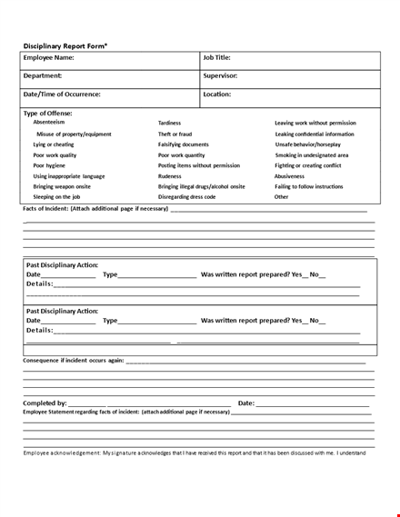 disciplinary report form. template