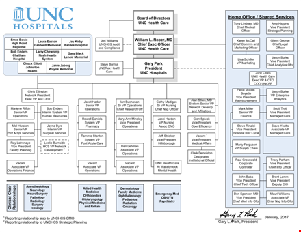 large hospital organizational chart template - download now template