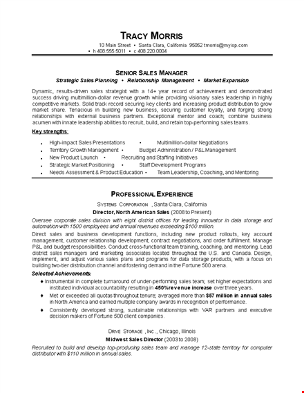 executive sales manager resume template