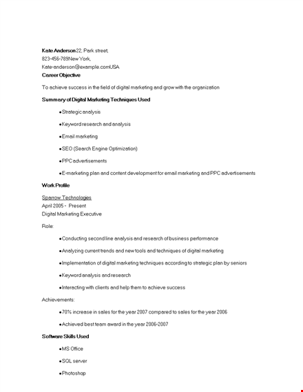 digital marketing executive resume template