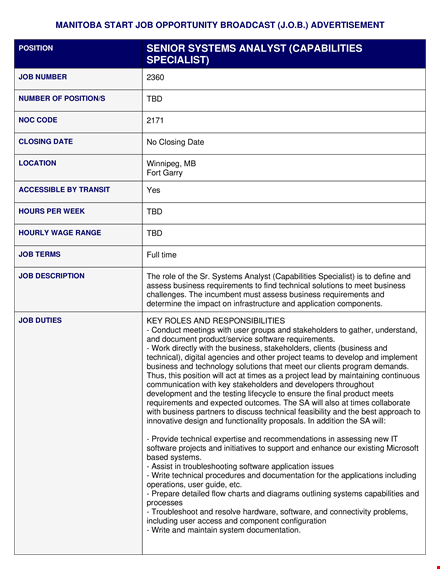 senior system analyst job description template