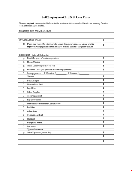 personal profit and loss statement form template
