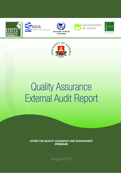 quality assurance audit report example template