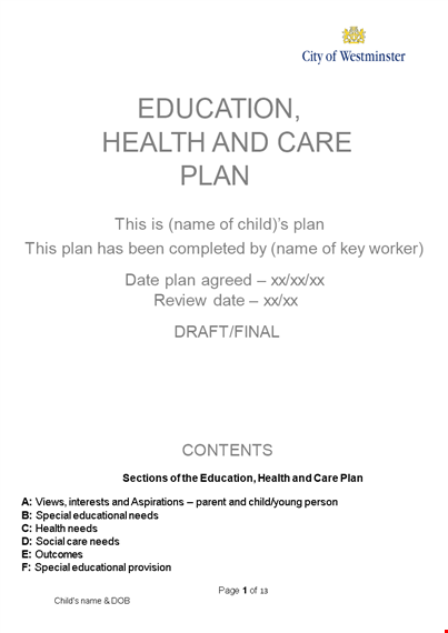 education health care plan template for child section provision template