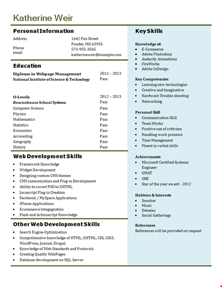 professional curriculum vitae template for showcase of development, skills, and knowledge template
