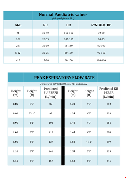 noraml peak flow chart template