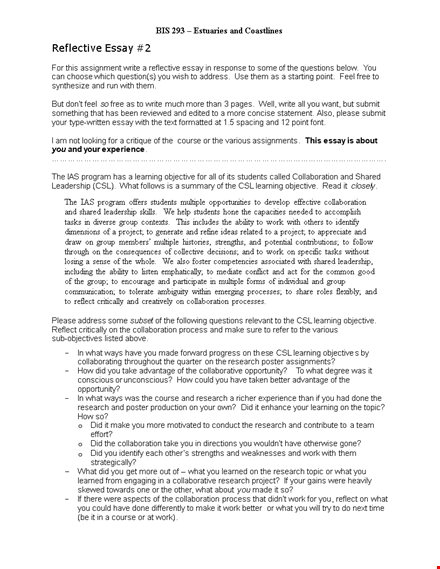 microsoft word reflective essay template template