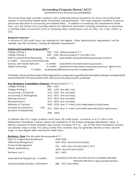 printable accounting program sheet template