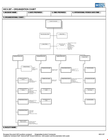 hospital organization chart template template