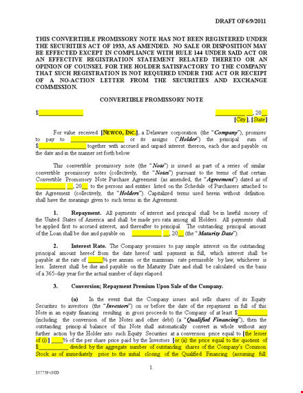 convertible promissory note template template