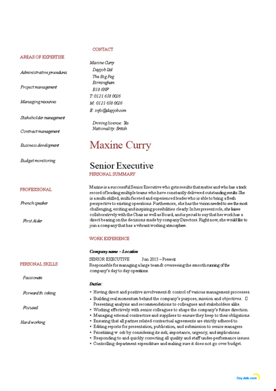 download a free senior executive resume template | effective company management | dayjob template