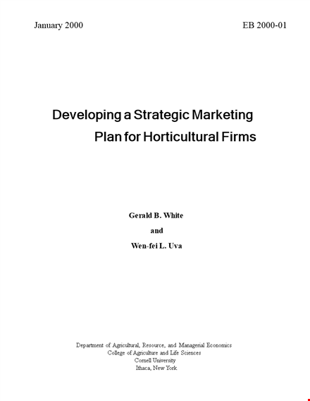 marketing strategic plan - boost sales and dominate the market template