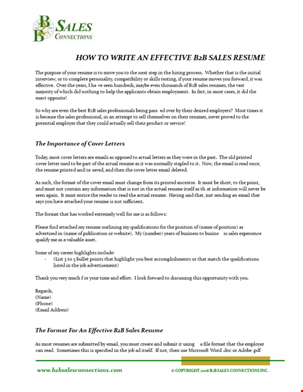 professional business sales resume template