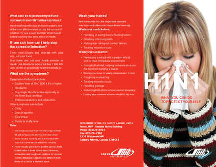 create an effective influenza pamphlet with our free template template