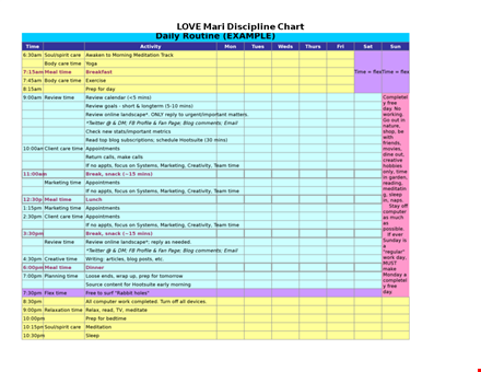 excel daily agenda template for organized time management template