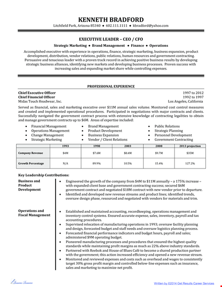 executive level resume format template