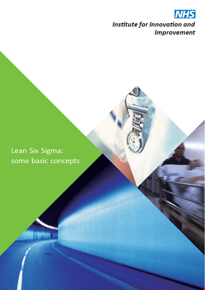 lean six sigma example template