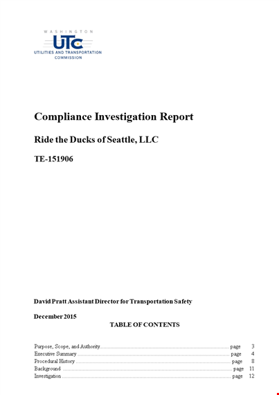 investigation report template