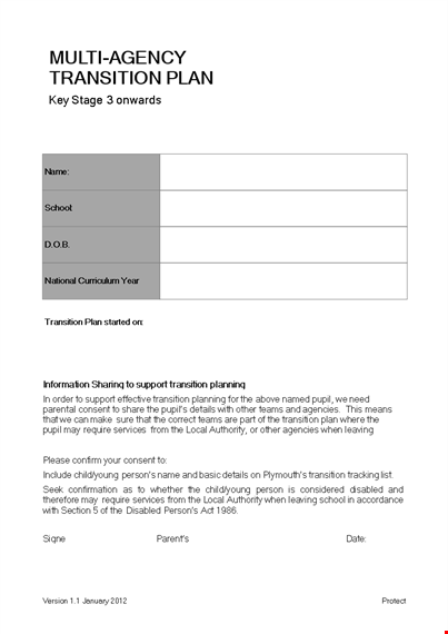 effective transition plan template: actions, issues & completion template