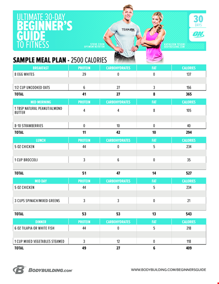fitness meal plan template template