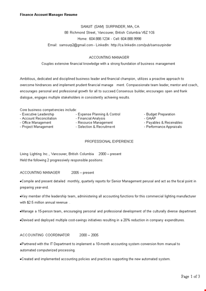 finance account manager resume template