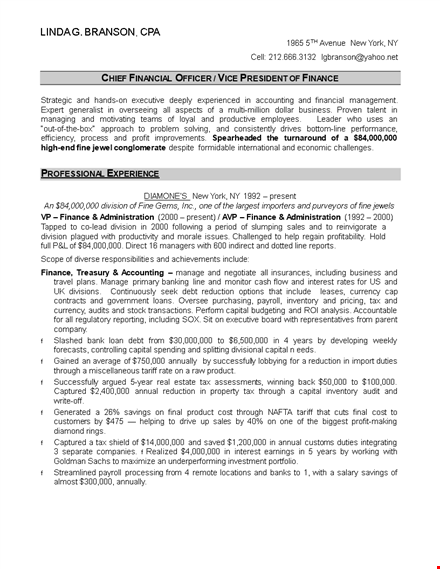 chief finance officer resume sample template