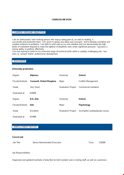 senior administrative executive resume template