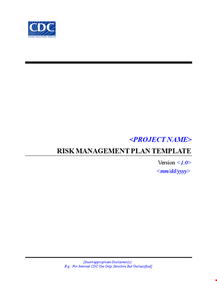 project risk management plan template word template