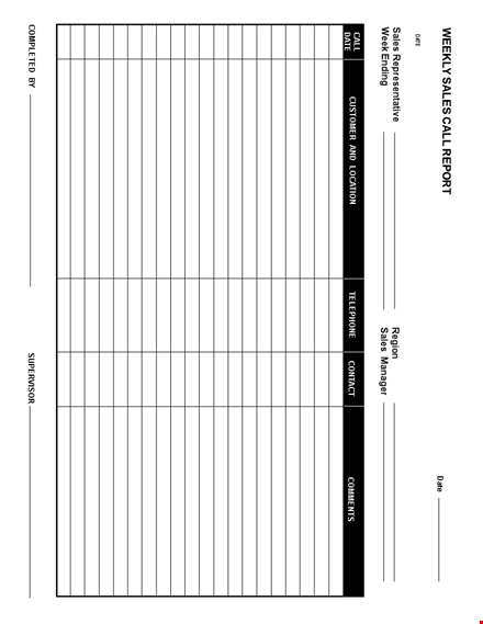 daily sales call report template template