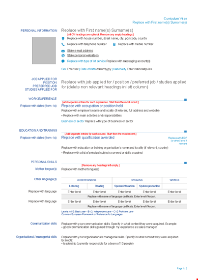get hired: curriculum vitae template with skills & examples | replace & enter your level template